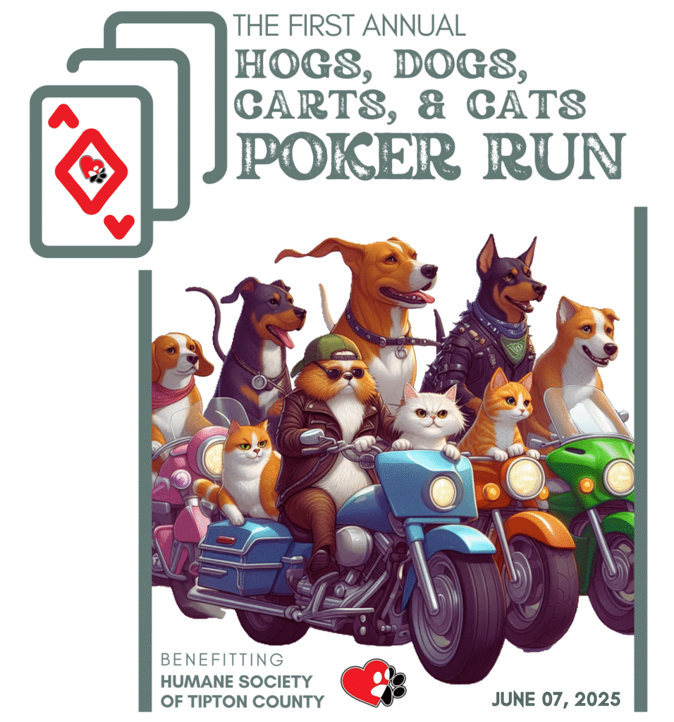 2025 HSTC Poker Run T-shirt